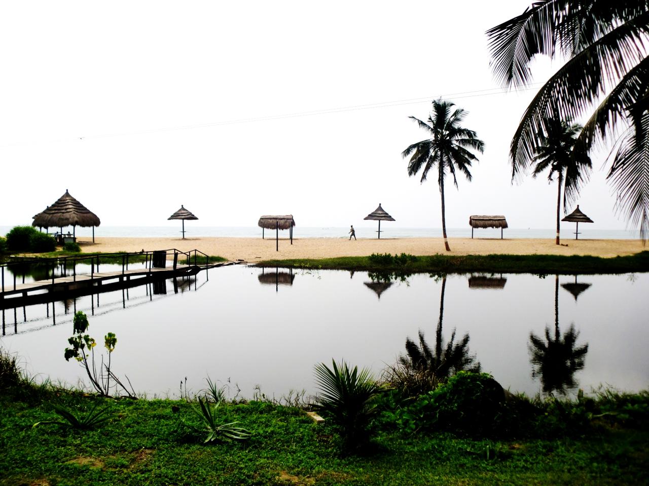 Palm trees and thatched beach shelters at Busua, reflected in calm water beside Ghana's coastline.